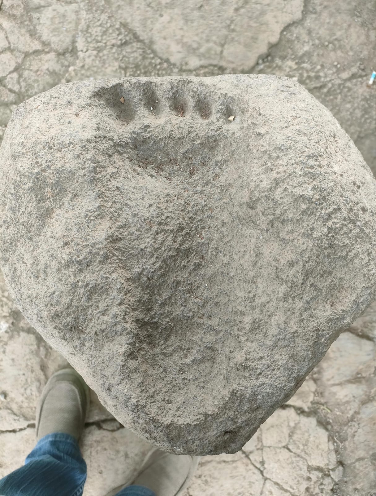 Tim Arkeolog Indramayu Temukan Batu Tapak Diwilayah Balongan 