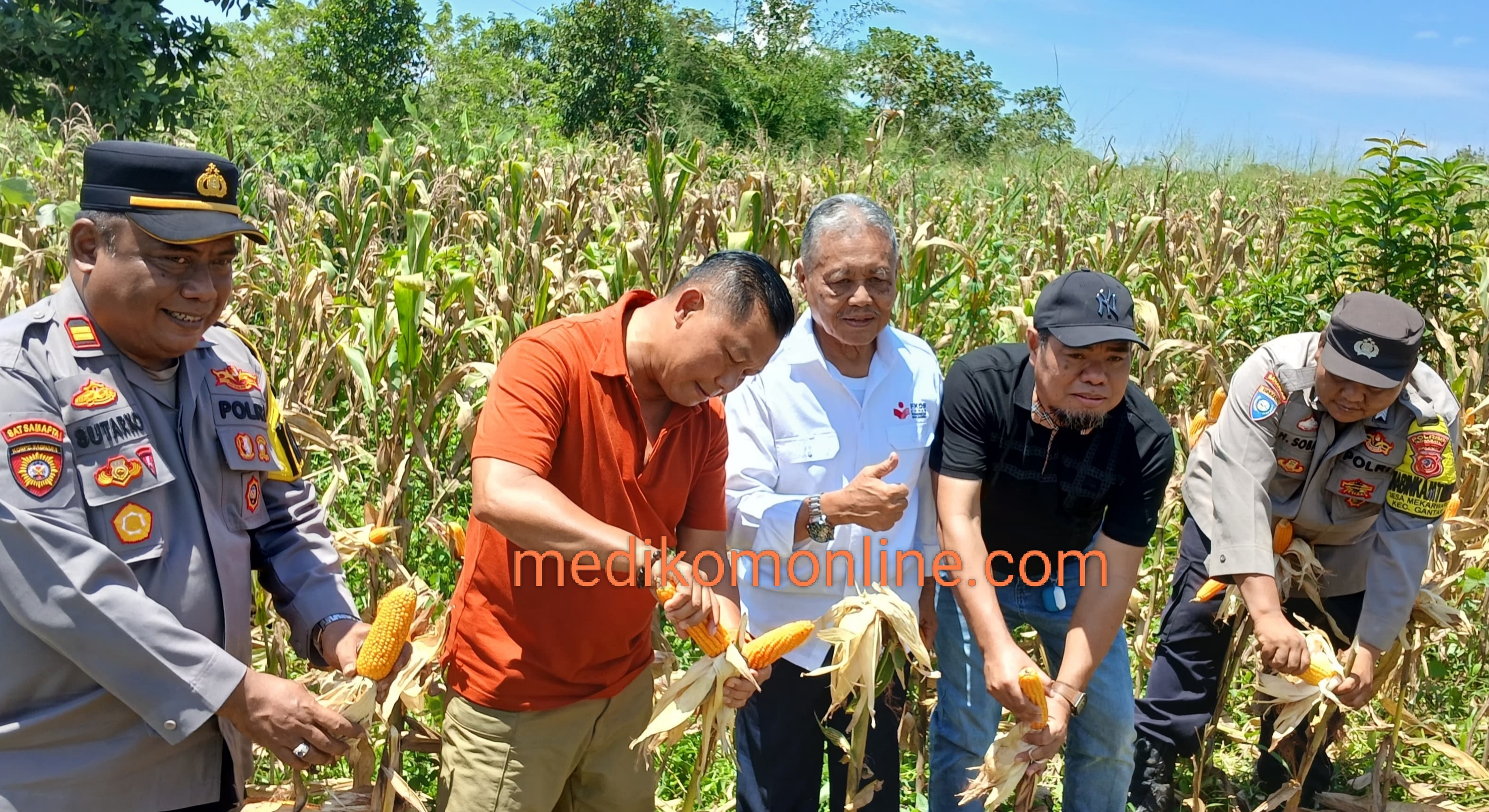 Perkuat Ketahanan Pangan Nasional, Baharkam Polri Bersinergi dengan Masyarakat Gelar Panen Raya Jagung